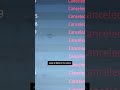 German Airport Strike Impact and Objectives