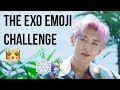 CAN YOU GUESS THIS EXO SONGS FROM THE EMOJI ??