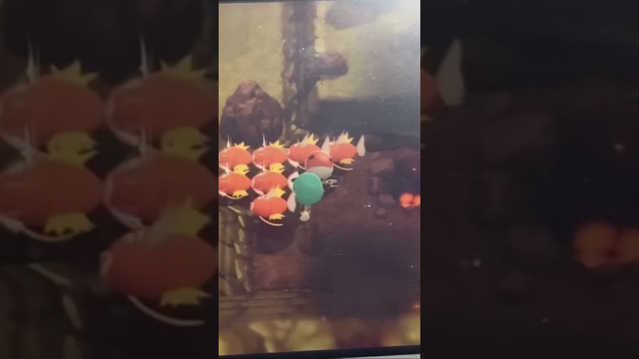ポケモンbdsp すり抜けバグ リッシコにて Youtube ポケモンbdsp すり抜けバグ リッシコにて Youtube