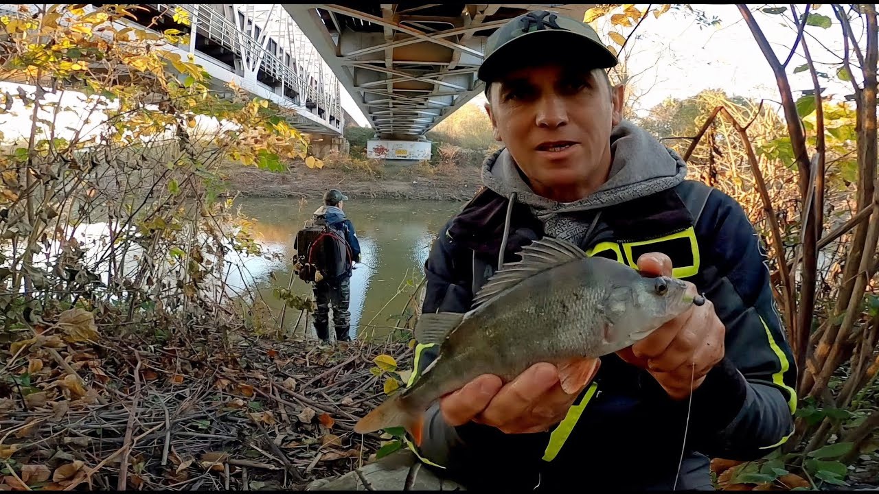 Spinningowa Magia na ultralekko: Okoniowa Eksplozja na Wieczór!