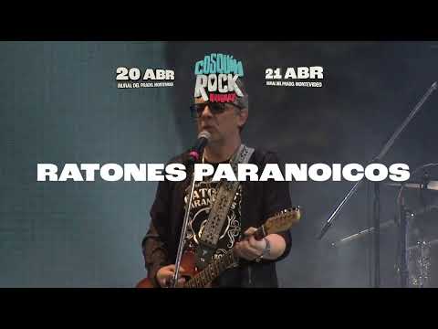 BUMPER RATONES PARANOICOS
