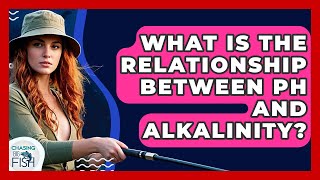 What Is The Relationship Between PH And Alkalinity? - Chasing Big Fish