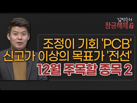 [김민수의 잠금해제] 조정이 기회 &amp;#39;PCB&amp;#39; 신고가 이상의 목표가 &amp;#39;전선&amp;#39; 12월 주목할 종목 2  / 머니투데이방송 (증시, 증권)