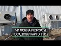 Можно ли разрезать картофель при посадке? Как минимизировать повреждения