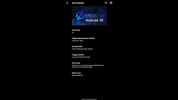 CUSTOM ROM HAVOC 3.9 XIAOMI MI 8 LITE BEST DAILY USER AND GAMERS