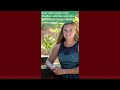 Why should you apply to be a Minnesota 4-H State Ambassador?