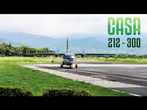 Avión Casa C212-300 - Final Pista 19.