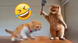??Funniest Cats and Dogs 2024 ? Best Funny Cats and Dogs Videos of the Month??