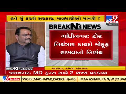 Stray cattle bill ; put on hold by Gujarat government |TV9GujaratiNews