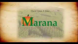 Marana Pumpkin Patch