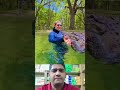 কুমিরকে সাঁতার শেখানো হচ্ছে #shortsviral #animals #shorts
