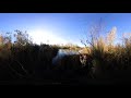 360 VR Duck Hunting Compilation in 4K!