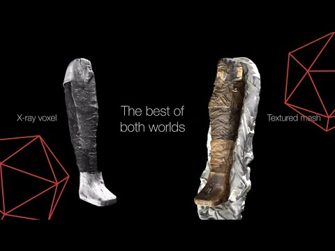 3D Model of Egyptian Mummy - Artec 3D and CT Scans Combined Using Volume Graphics Software