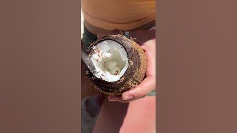 The GiRL survives on the island #camping #survival #bushcraft #outdoors #coffee