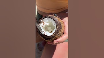 The GiRL survives on the island #camping #survival #bushcraft #outdoors #coffee