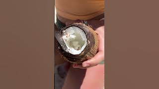 The GiRL survives on the island #camping #survival #bushcraft #outdoors #coffee