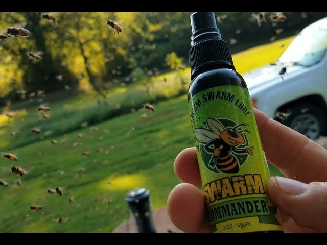 Best Swarm Lure Made See How Well It Works 