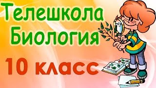 Биология 10 класс. Генетика человека, методы ее изучения(Телевизионный урок 