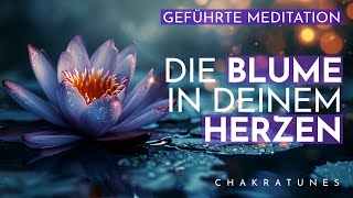 Finde Frieden & Liebe in Dir: Geführte Meditation