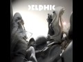 Delphic  doubt
