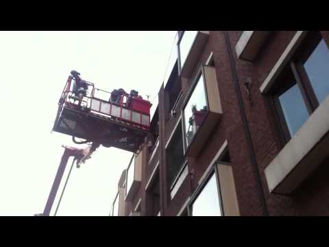 Video: Waarom Vliegen Duiven Het Balkon Op