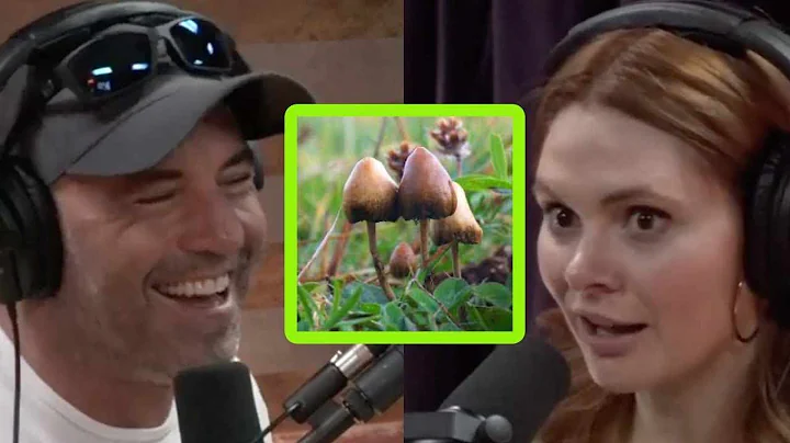 Joe Rogan: Cops Should Be On Mushrooms