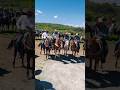 ASI somos de alegres t parranderos en Zacatecas #viral #tamborazo #zacatecas #caballos #horse