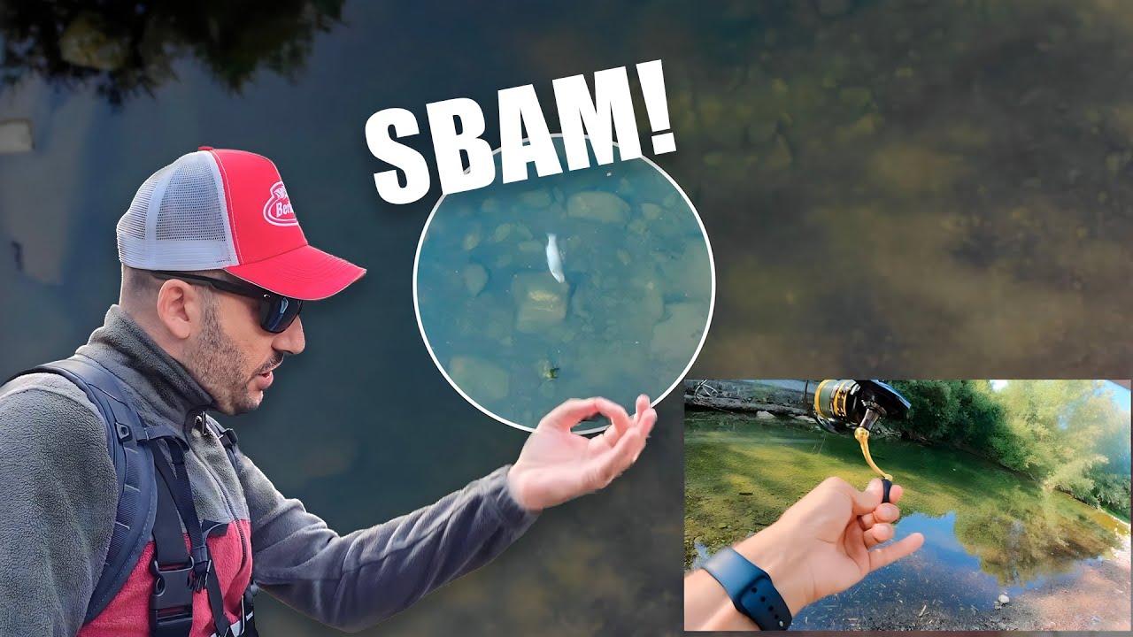 Pesca tra la Nebbia | Trote Pollo all'Attacco