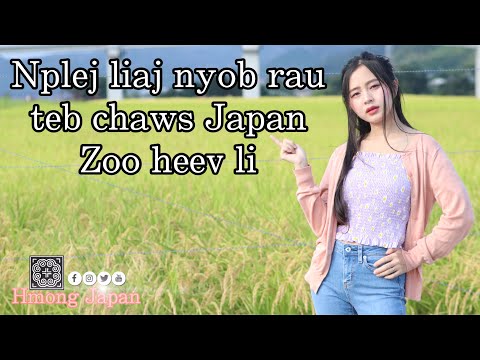 Video: Yuav Ua Li Cas Ua Noj Cov Nplej Japanese
