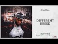 Q Da Fool Different Breed Deaf Wish mp3