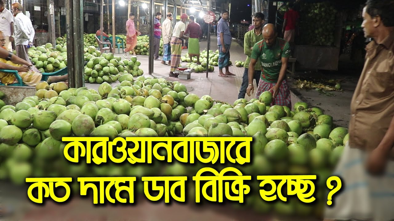 কারওয়ান বাজারে বর্তমান কেমন দামে ডাব বিক্রি হচ্ছে | কম দামে ডাব | Chaka Bazar | Green Coconut Bd |