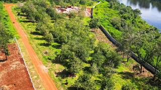 Prime Half-Acre Residential Plot for Sale in Thika Groove, Chania