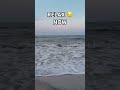 Peaceful Beach 🏖️Waves 🌊 Relax for 60 Seconds | Ocean Sounds #shorts
