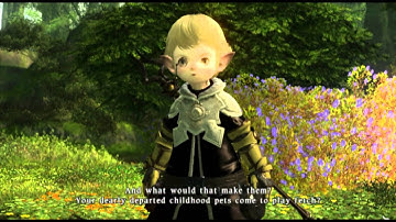 Final Fantasy XIV Gridania Intro