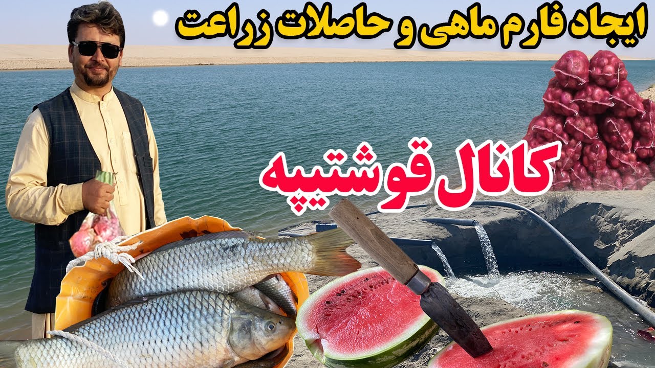 گزارش افغان تاپ:  ایجاد فارم ماهی در کنار کانال قوشتیپه،حاصلات زراعت،تربوز،پخته،پیاز،بامیهafghan top