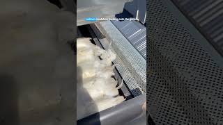 Incorrect Anticon Installation Causing Roof Leaks