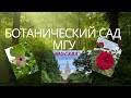 Ботанический сад МГУ
