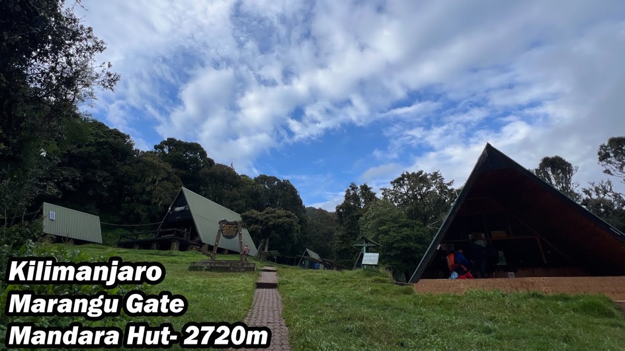Kilimanjaro Marangu Gate to Mandara Hut