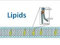 Cholesterol and Fatty Acids Concepts