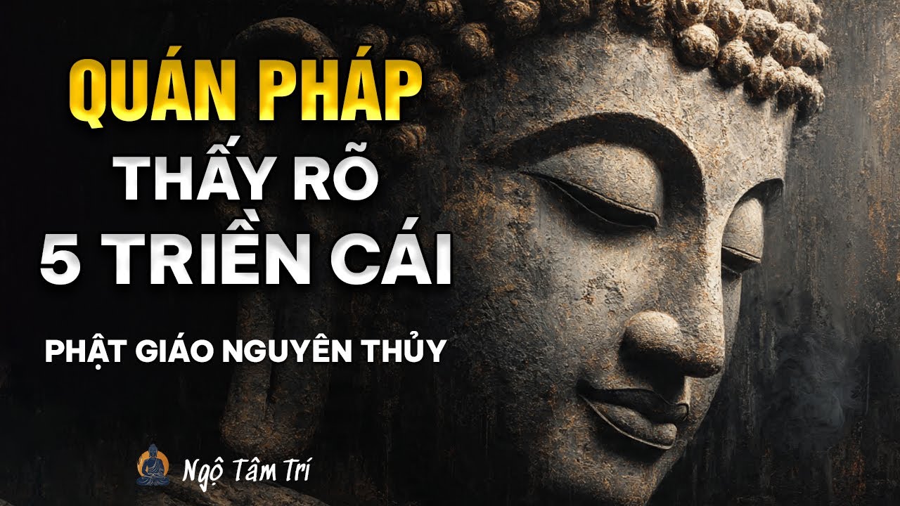 Hướng dẫn QUÁN PHÁP : Thấy rõ 5 Triền Cái đang VẬN HÀNH | Ngộ Tâm Trí