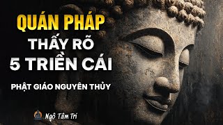 Download Lagu Hướng dẫn QUÁN PHÁP : Thấy rõ 5 Triền Cái đang VẬN HÀNH | Ngộ Tâm Trí MP3