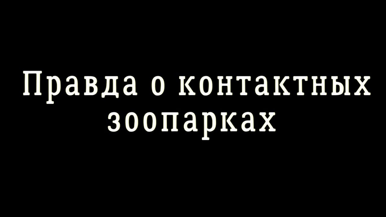 Правда о контактных зоопарках