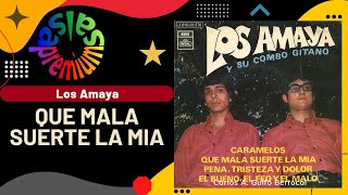 🔥QUE MALA SUERTE LA MIA por LOS AMAYA - Salsa Premium chords