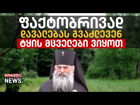 უმცირესობა როგორ დაიცავს უმრავლესობის ტყეებს - მღვდელმთავარი ნიკოლოზი