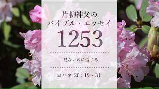 バイブル・エッセイ 1253『見ないのに信じる』（聖書朗読とミサ説教