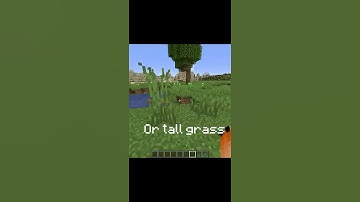 the minecraft block i never knew existed...