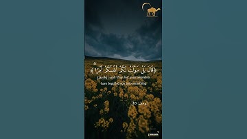 سورة يوسف #quran #اكسبلور #المصحف #قرآن #لايك