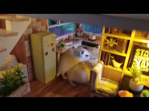 funny-roborovski-hamsters-baby-playing-in-miniature-house-diy