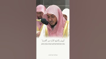 الوليد الشمسان- سورة التوبة