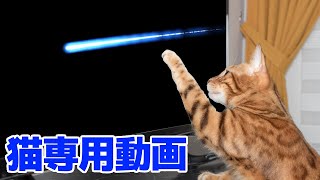 猫専用動画 流れ星 Cat specific videos shooting star